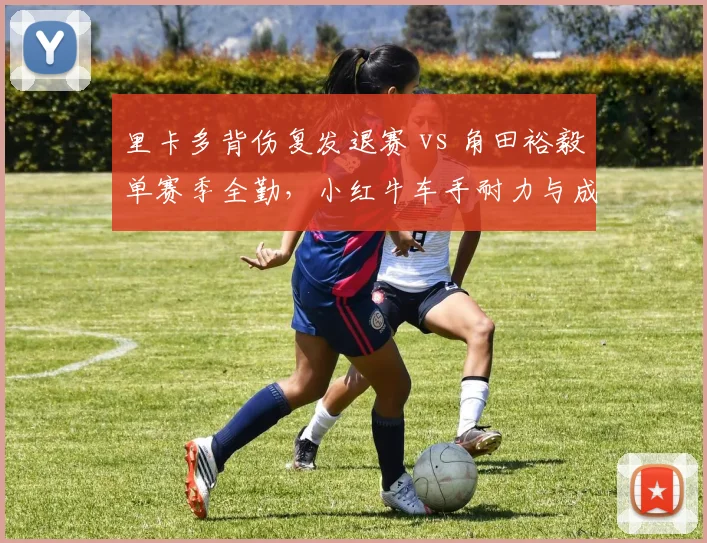 里卡多背伤复发退赛 vs 角田裕毅单赛季全勤，小红牛车手耐力与成绩的取舍